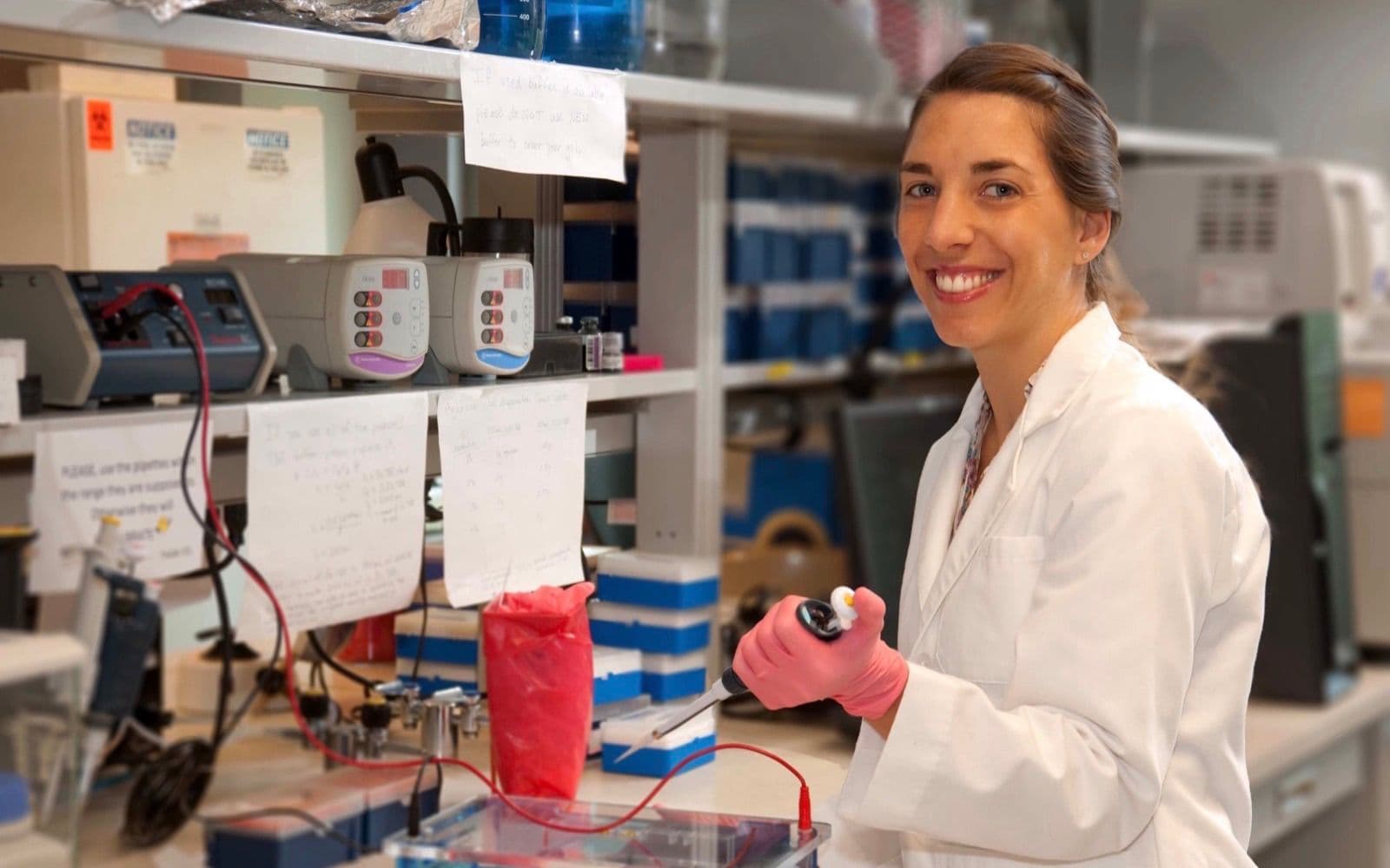 OHGA scientist preparing a gel electrophoresis run in the laboratory