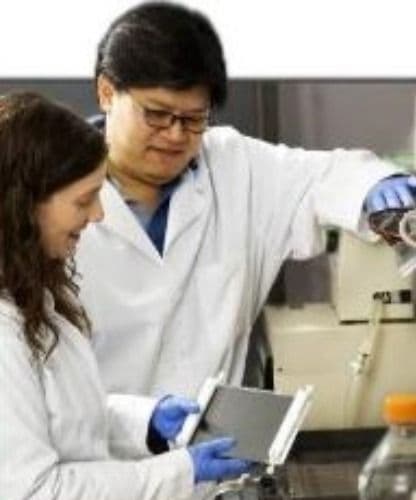 Researchers working in a laboratory
