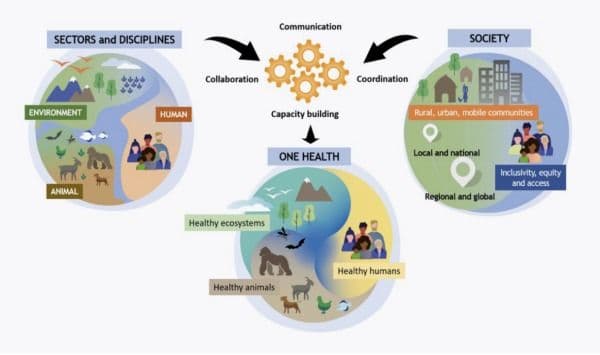 Public health team in discussion
